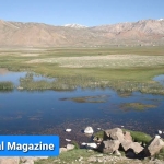 بازداشت و شکنجه یک تن به دلیل عدم همکاری با طالبان